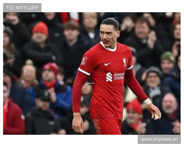 努涅斯英超首季表现是否达标